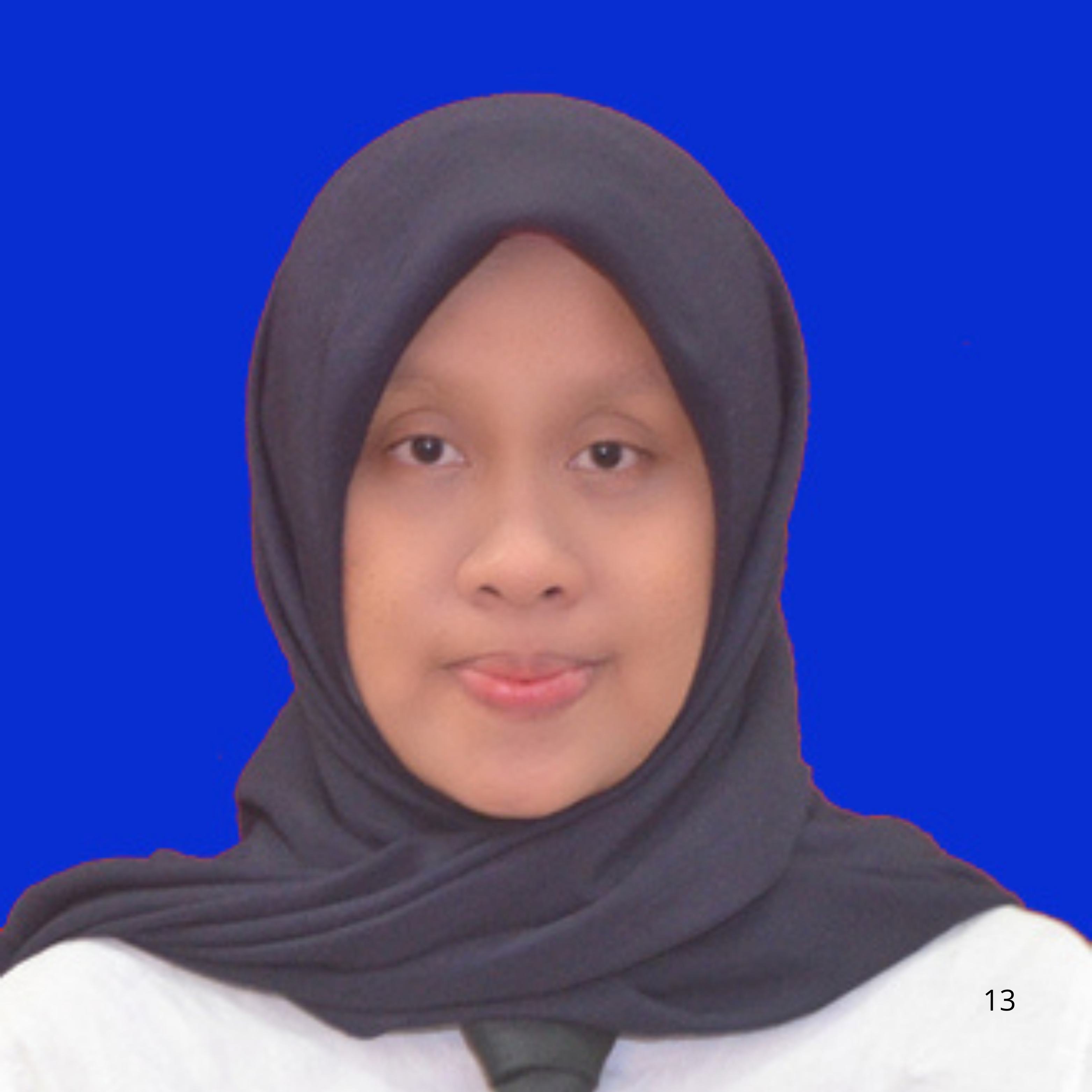 Ananda Faridhatul Ulva, S.Kom., M.Kom